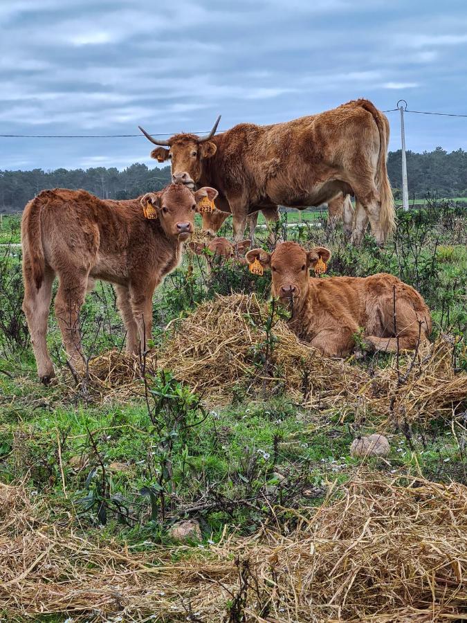 Herdade Da Vagem Rogil Exterior foto